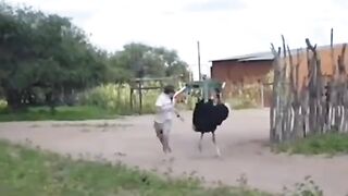 FUNNY 001