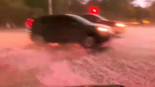 I cried to death. This is so beautiful, isn't it? Of course, I want to share this beautiful cherry blossom rain with you
