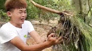Funny vodeo viralvideo trending viral youtube youtubeshorts tiktok funny comedy funnyvideo.