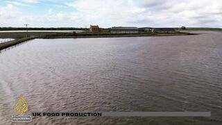 UK food production_ Record rain impacts Lincolnshire crop yields.