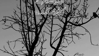 Urdu quotes
