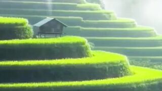 Beautiful view of nature