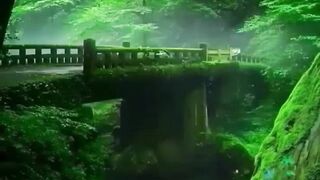Beautiful view of nature
