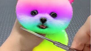 Cute baby animals videos Cute moment of the animals #short