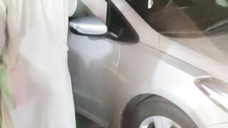 Beautiful dog setting in car