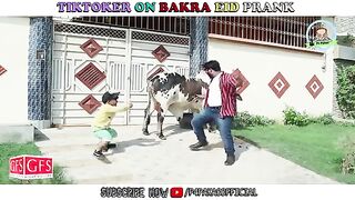 |_TIKTOKER_ON_BAKRA_EID_PRANK_|_By_Nadir_Ali_&_Rizwan_khan_in_|_P_4_Pakao