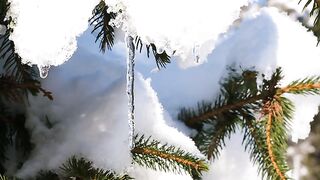 Winter Most Beautiful
