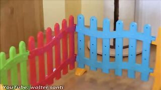Two Cats and 500 Balls in a Ball Pit
