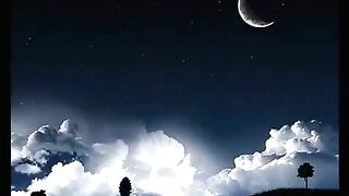سورۃ النساء  قاری یوسف السعید