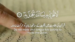 Al Quran 16