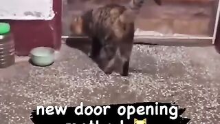 Opening a door with style