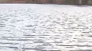 Nature is singing