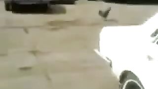 Parade practice by cock