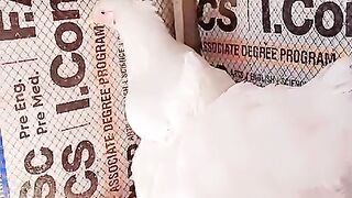 Pure white animal