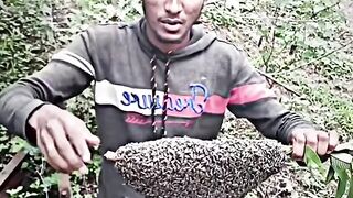 Honey bees