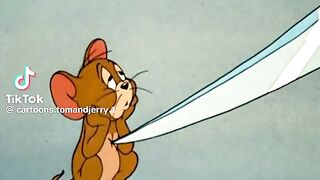 Tom&jerry ????