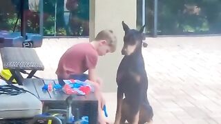 The best patient ever and a future vet