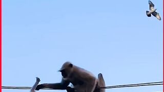 Regardez ce video 5666