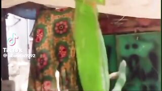 Funny video