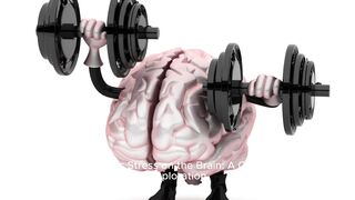 Exercise Reduces Stress in the Brain. Here is why?