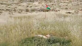 Israeli man injured in explosion while kicking Palestinian flag
