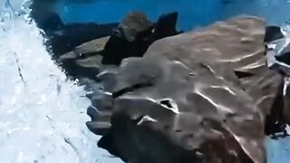 Jolie vidéo