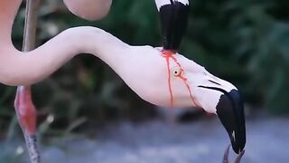 ❤️????سبحان الخالق????
