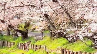 Beauty is everywhere