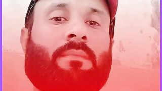 Shaer
