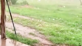 hailstorm