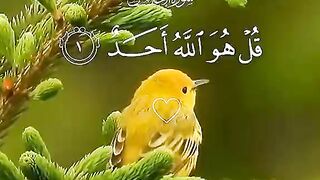 Sura ekhlass