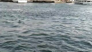 Visit Istanbul