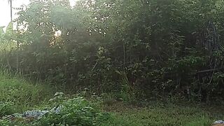 morning birdsong