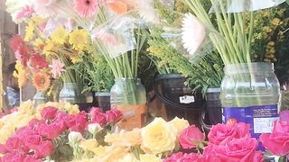 Flower garden visit