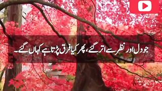 beautiful quotes