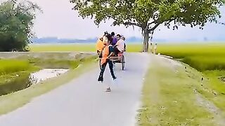 ধিন্দাল বলে খাজা