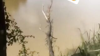 FUNNY 0017