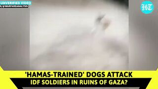 Israeli Soldiers Flee As Dogs 'Chase Troops In Gaza'