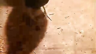 Fighting is not good
