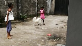 Play play