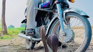 Hareem shah new leaked video