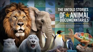 The Untold Stories of Animal Documentaries A Window into the Animal Kingdom