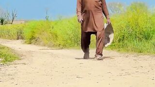 Hareem shah 5 mint viral video