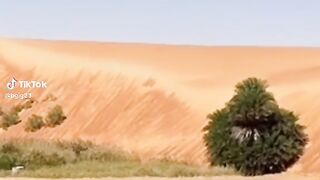Music from the desert