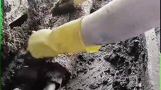 Pile Driver Machine