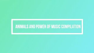 ANIMALS and POWER OF MUSIC