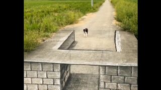 3d illusion painting