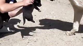Meeting the new member of the family..