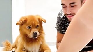 Comedy video with dog