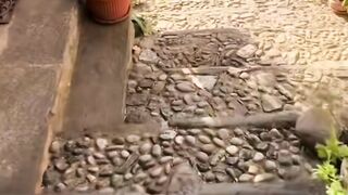 Jolie vidéo
